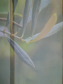 helline home Rideaux Et Stores<Joli store-bateau