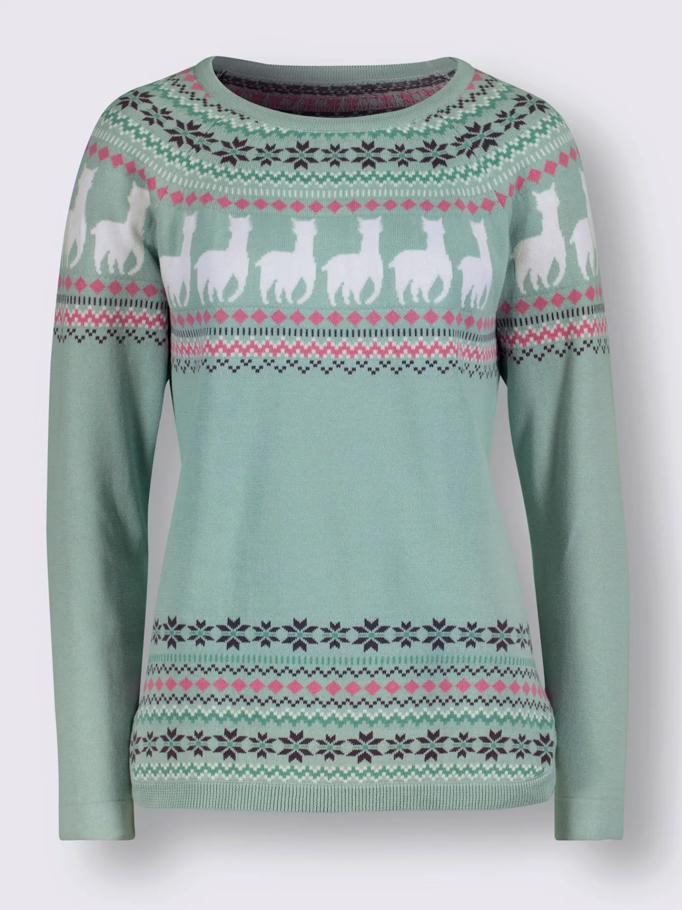 Pulls<Pull à manches longues pur coton