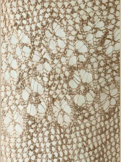 s.Oliver Gilets Et Cardigans<Veste en tricot cardigan motif ajouré